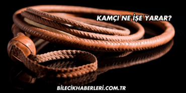 Kamçı Ne İşe Yarar?