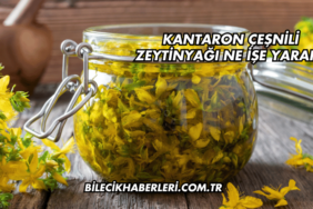 Kantaron Çeşnili Zeytinyağı Ne İşe Yarar?