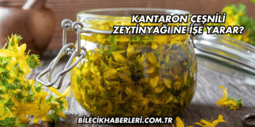 Kantaron Çeşnili Zeytinyağı Ne İşe Yarar?