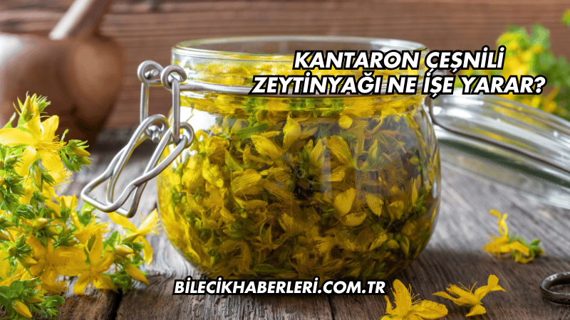 Kantaron Çeşnili Zeytinyağı Ne İşe Yarar?