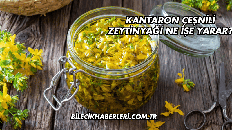 Kantaron Çeşnili Zeytinyağı Ne İşe Yarar?
