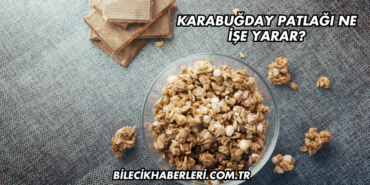 Karabuğday Patlağı Ne İşe Yarar?