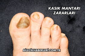 Kasık Mantarı Zararları