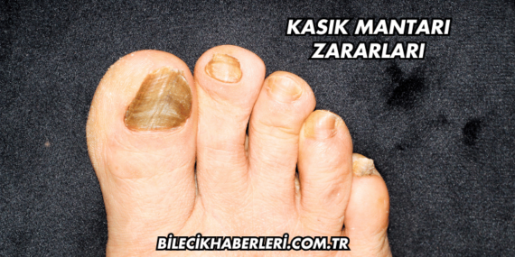 Kasık Mantarı Zararları