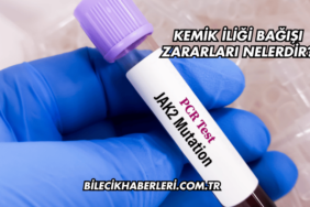 Kemik İliği Bağışı Zararları Nelerdir?