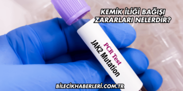 Kemik İliği Bağışı Zararları Nelerdir?
