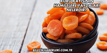 Kuru Kayısının Hamilelere Faydaları Nelerdir?