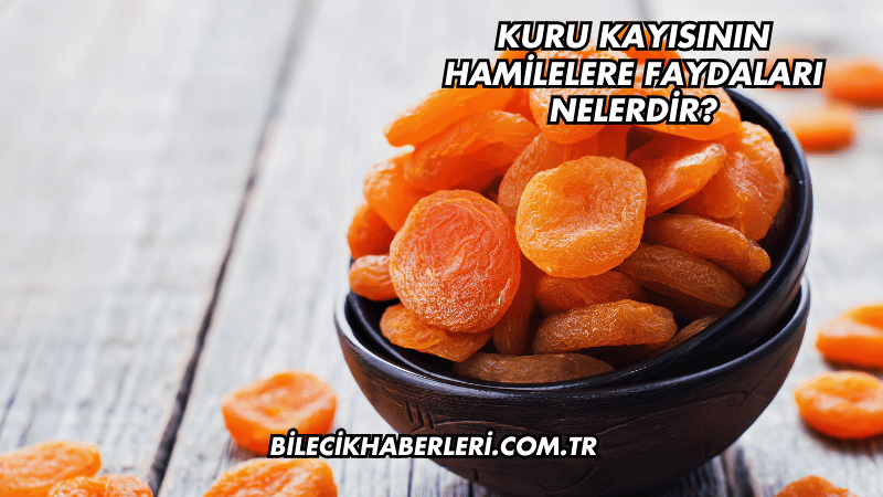 Kuru Kayısının Hamilelere Faydaları Nelerdir?