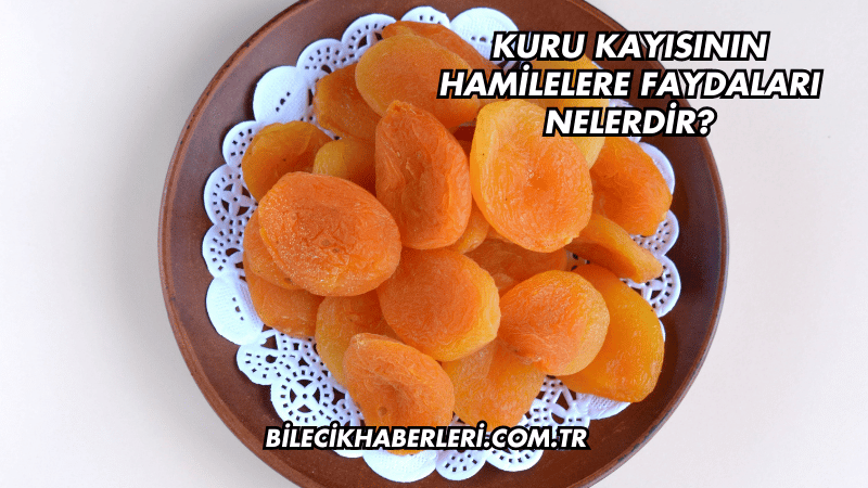 Kuru Kayısının Hamilelere Faydaları Nelerdir?