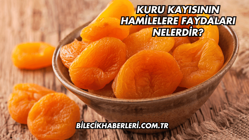 Kuru Kayısının Hamilelere Faydaları Nelerdir?
