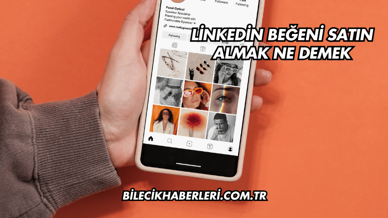 Linkedin Beğeni Satın Almak Ne Demek