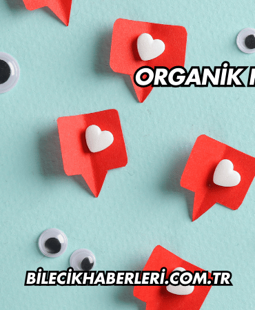 Organik Hit Nedir?