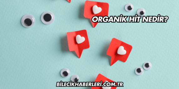 Organik Hit Nedir?