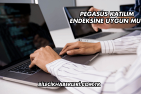Pegasus Katılım Endeksine Uygun mu?