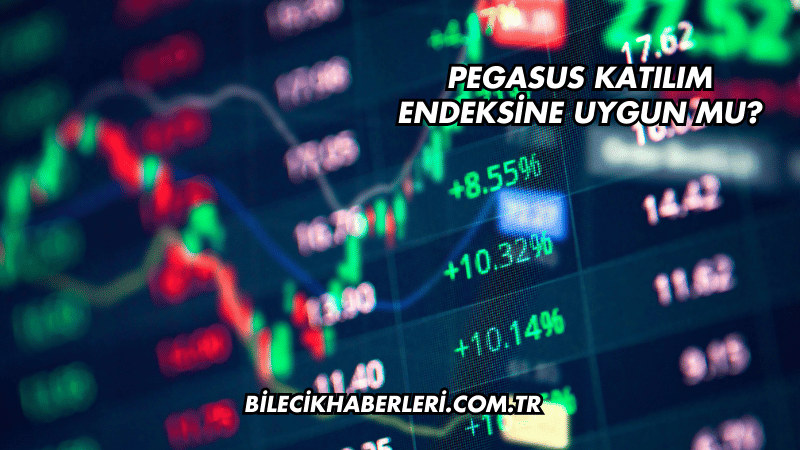 Pegasus Katılım Endeksine Uygun mu?