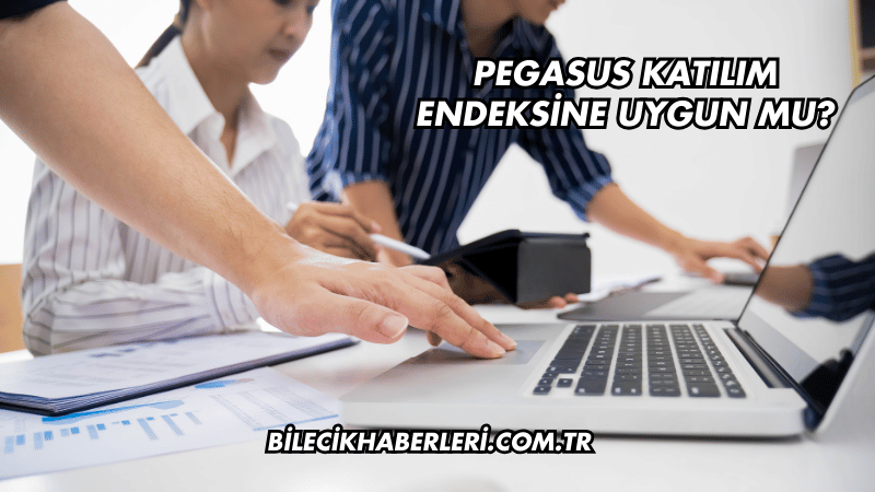 Pegasus Katılım Endeksine Uygun mu?