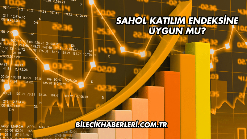 Sahol Katılım Endeksine Uygun mu?
