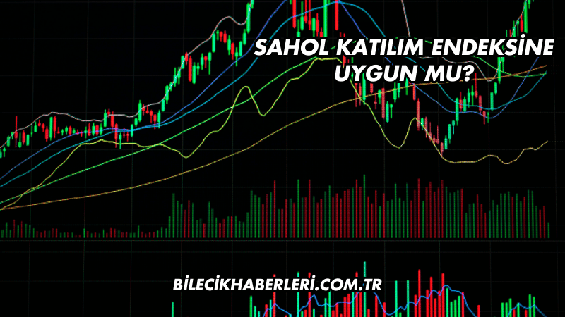 Sahol Katılım Endeksine Uygun mu?
