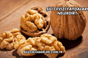 Şili Cevizi Faydaları Nelerdir?