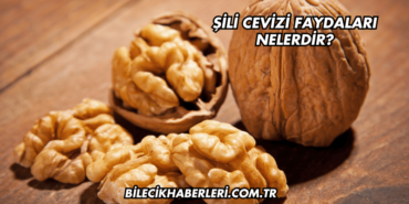 Şili Cevizi Faydaları Nelerdir?