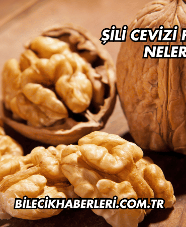 Şili Cevizi Faydaları Nelerdir?