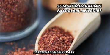 Sumak Baharatının Faydaları Nelerdir?