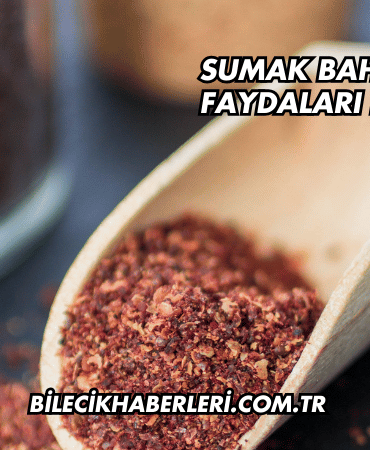 Sumak Baharatının Faydaları Nelerdir?