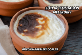 Sütlaç Faydaları Nelerdir?