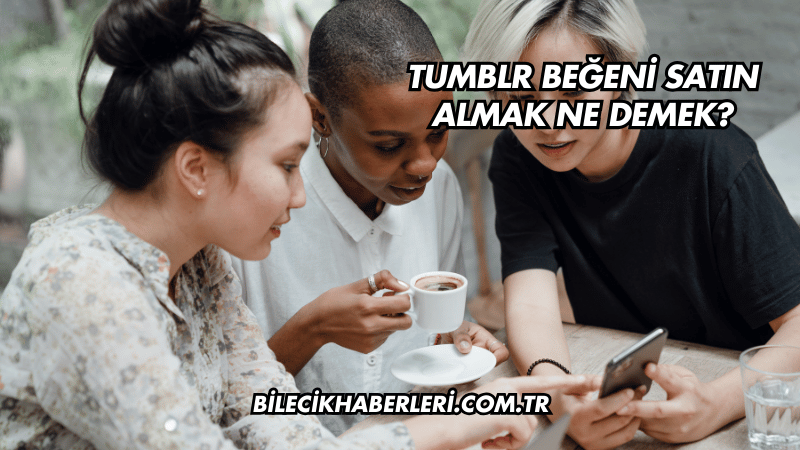 Tumblr Beğeni Satın Almak Ne Demek?