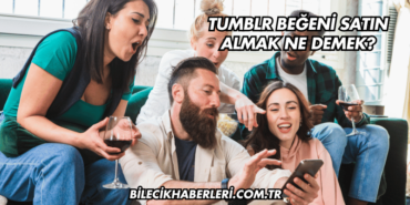 Tumblr Beğeni Satın Almak Ne Demek?