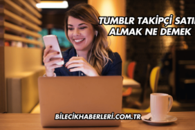 Tumblr Takipçi Satın Almak Ne Demek