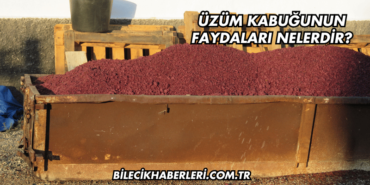 Üzüm Kabuğunun Faydaları Nelerdir?