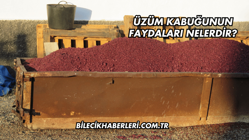 Üzüm Kabuğunun Faydaları Nelerdir?