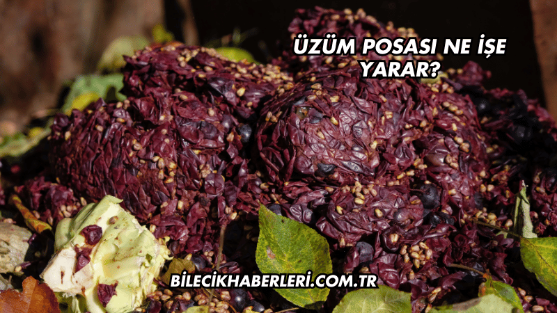Üzüm Posası Ne İşe Yarar?