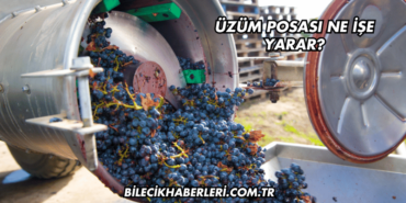 Üzüm Posası Ne İşe Yarar?