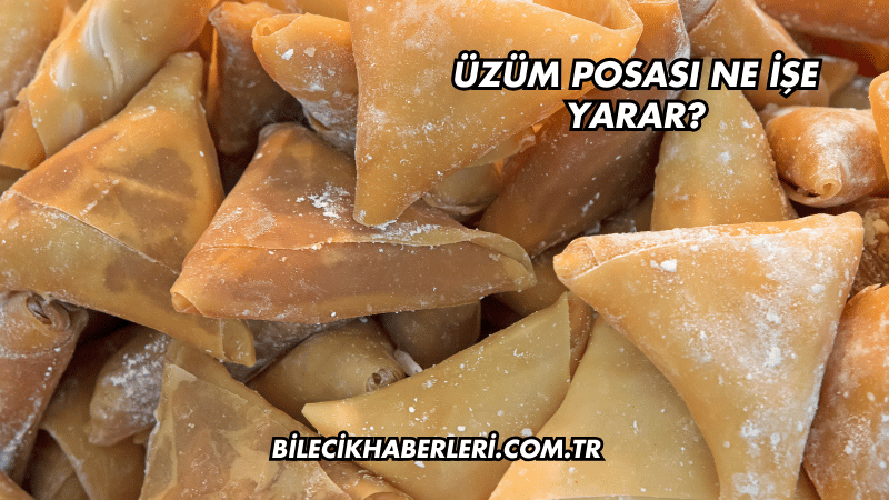 Üzüm Posası Ne İşe Yarar?