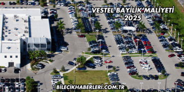 Vestel Bayilik Maliyeti 2025