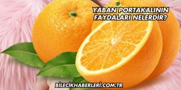 Yaban Portakalının Faydaları Nelerdir?