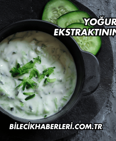 Yoğurt Otu Ekstraktının Faydaları