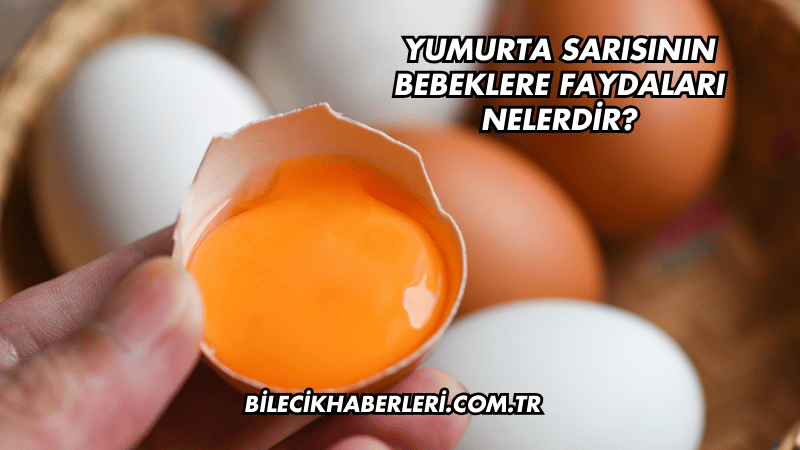 Yumurta Sarısının Bebeklere Faydaları Nelerdir?