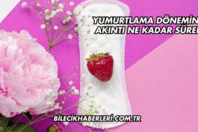 Yumurtlama Döneminde Akıntı Ne Kadar Sürer?