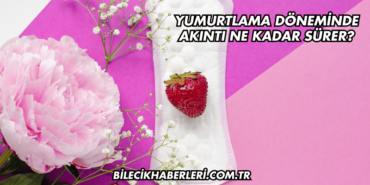 Yumurtlama Döneminde Akıntı Ne Kadar Sürer?