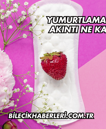 Yumurtlama Döneminde Akıntı Ne Kadar Sürer?
