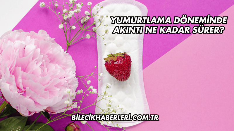 Yumurtlama Döneminde Akıntı Ne Kadar Sürer?