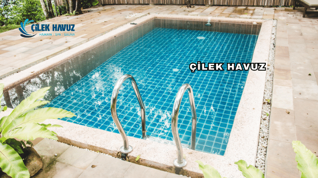 Çilek Havuz Hakkında