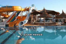 Çilek Havuz Hakkında