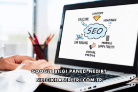 Google Bilgi Paneli Nedir?