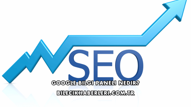 Google Bilgi Paneli Nedir?