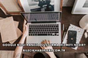 Google Bilgi Paneli Oluşturma Hizmeti Nedir?