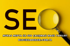 Mukas Medya ile SEO Çalışması Nasıl Yapılır?